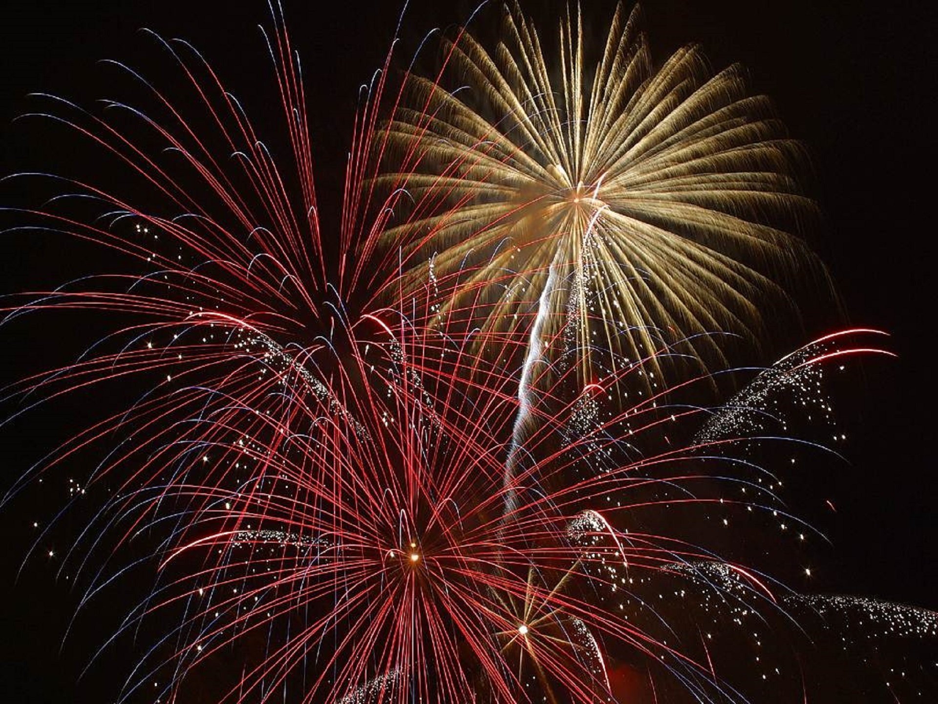 paw-pad-fireworks - The Paw Pad