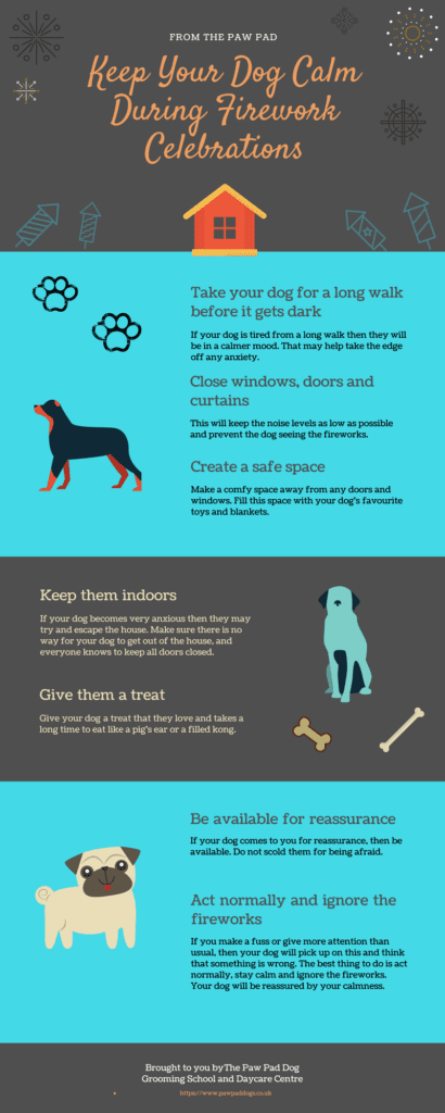 Keep Dogs Calm During Firework Celebrations Infographic