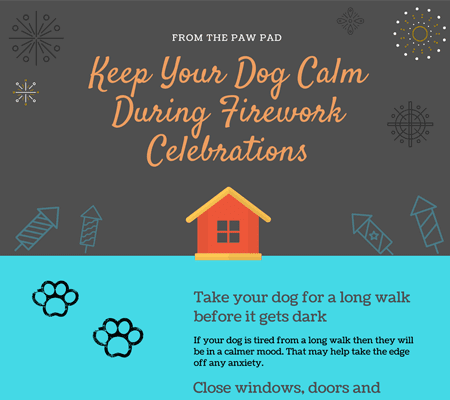 an infographic with advice about dogs and fireworks