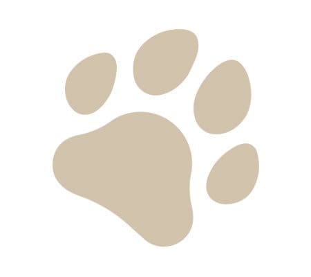 dog nail trimming guide