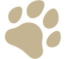 Paw Pad favicon