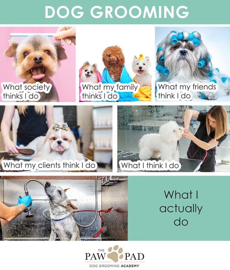 Dog grooming meme showing what I think I do and what my friends think I do