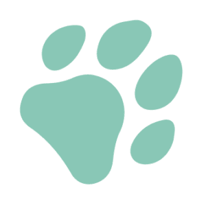 paw icon