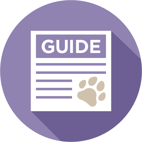 Ultimate dog grooming guide