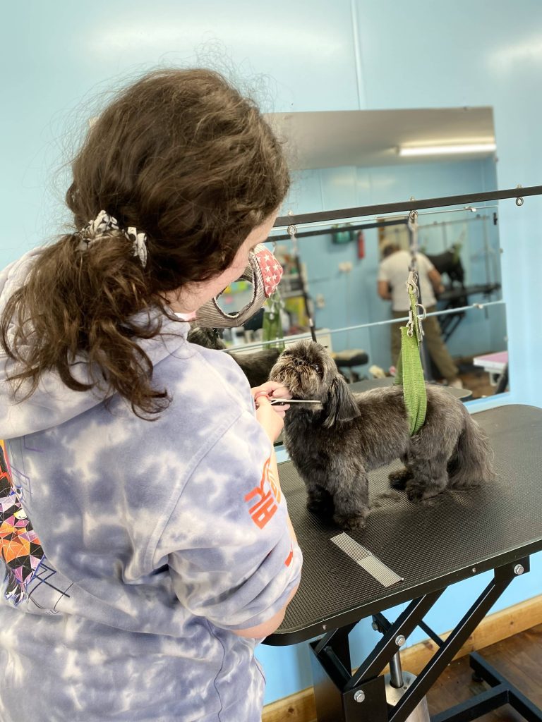 Abby-dog_grooming-trainer