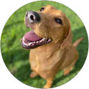 Deanna M. profile picture